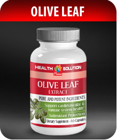 Olive-Leaf-by-Vitamin-Prime
