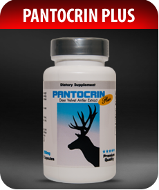 Pantocrin-Plus-Deer-Velvet-Extract-by-Vitamin-Prime
