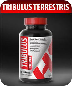 Tribulus-Terrestris-SE-Testostereone-Booster-by-Vitamin-Prime