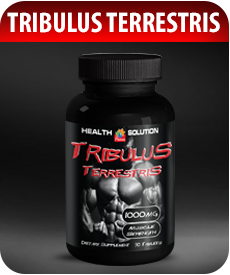Tribulus-Terrestris-Testostereone-Booster-by-Vitamin-Prime